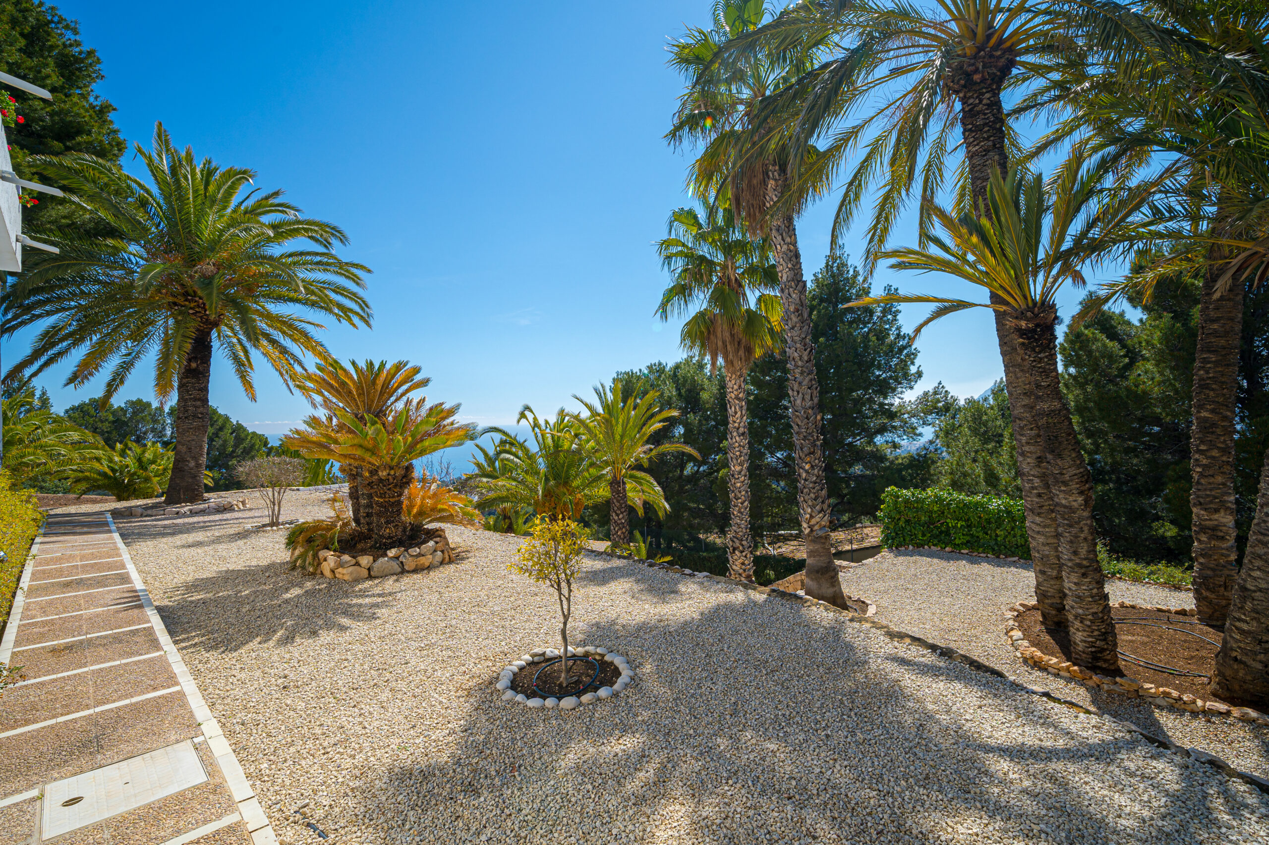 MeninaGroup - Pierluigi Cavarra - Gata 8-20