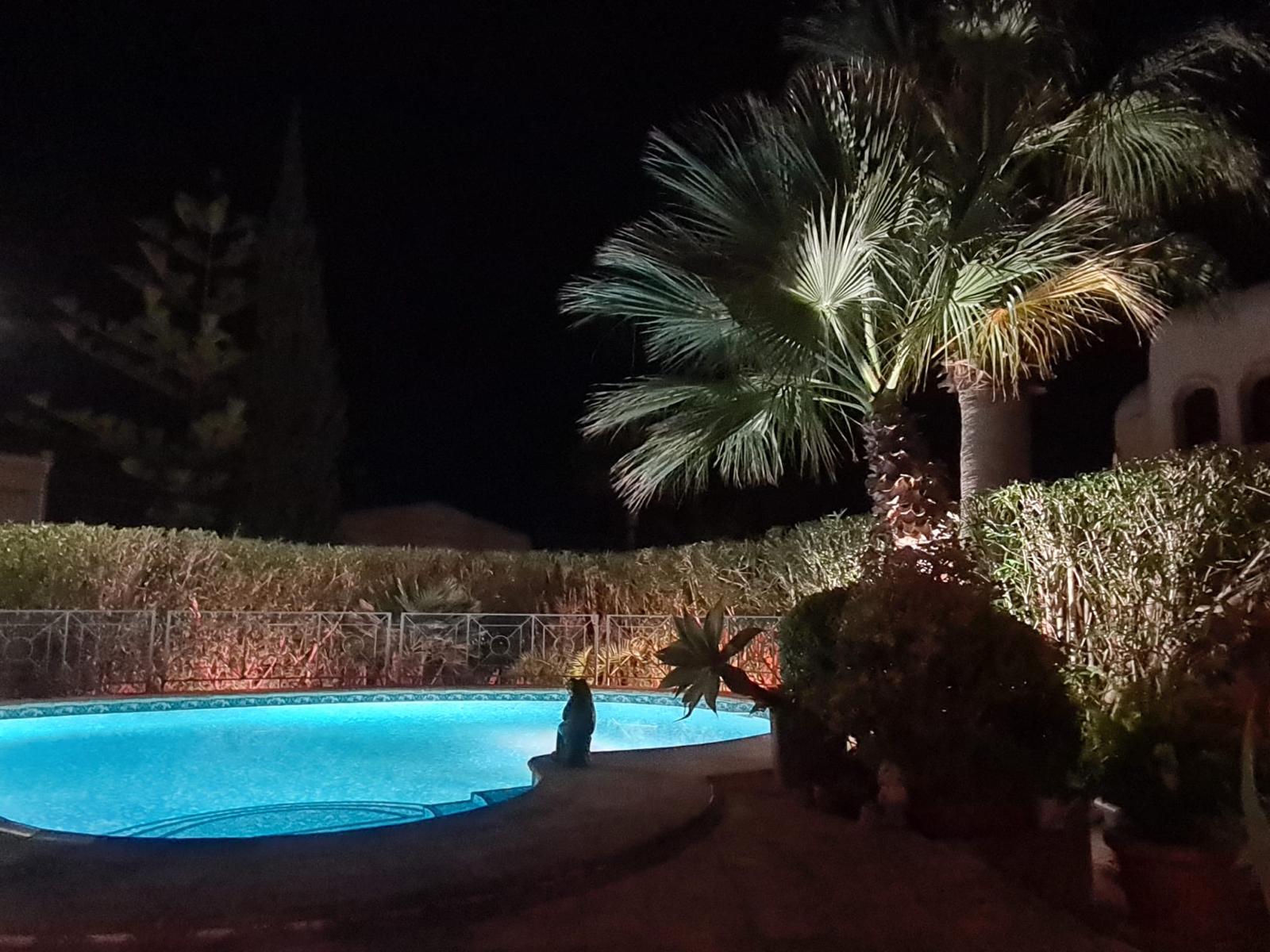 70b2059a-769b-482c-9103-15a342265fa5