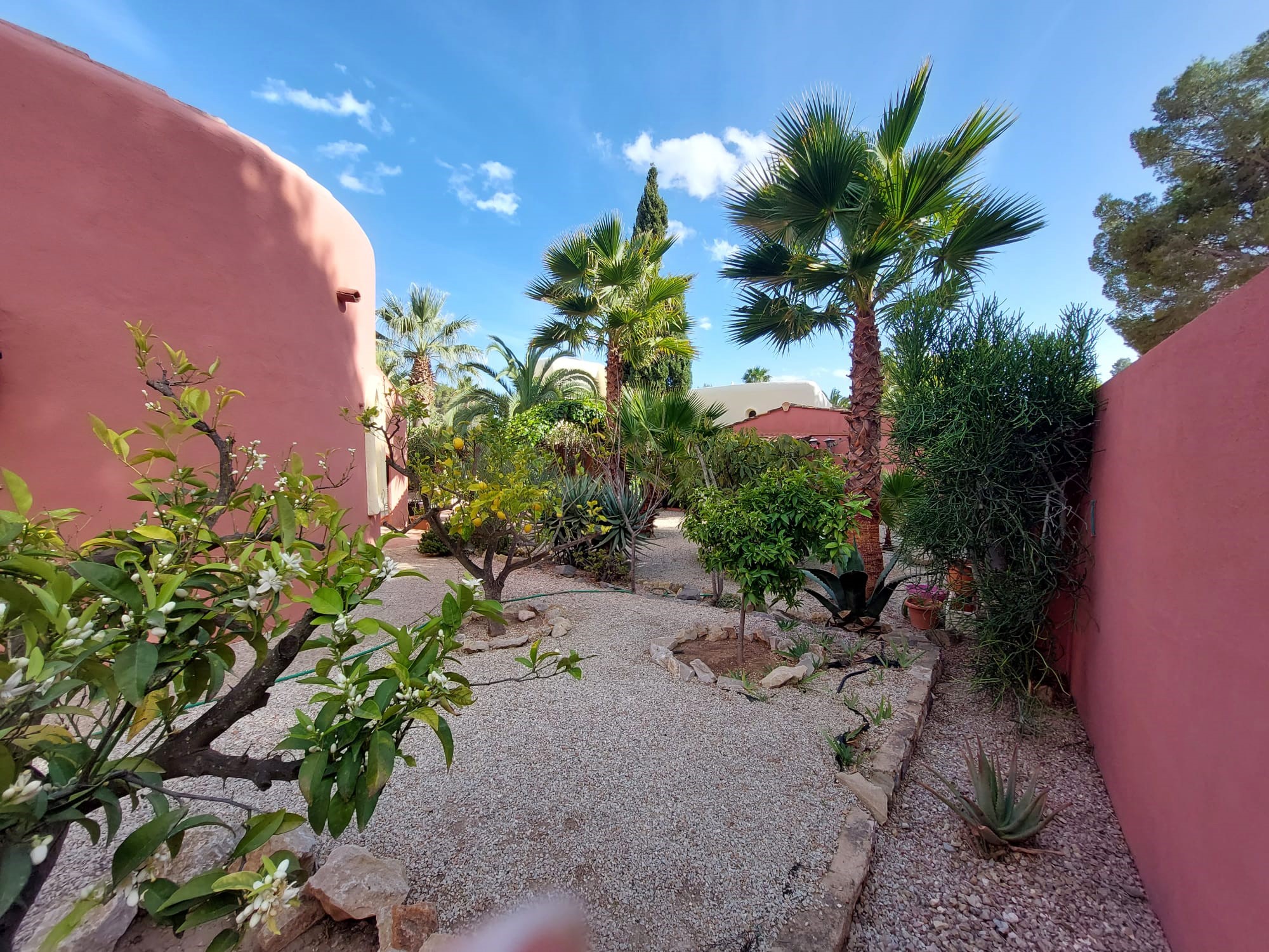 86a3ffc3-c12e-4451-aa9f-ce9b160e056b