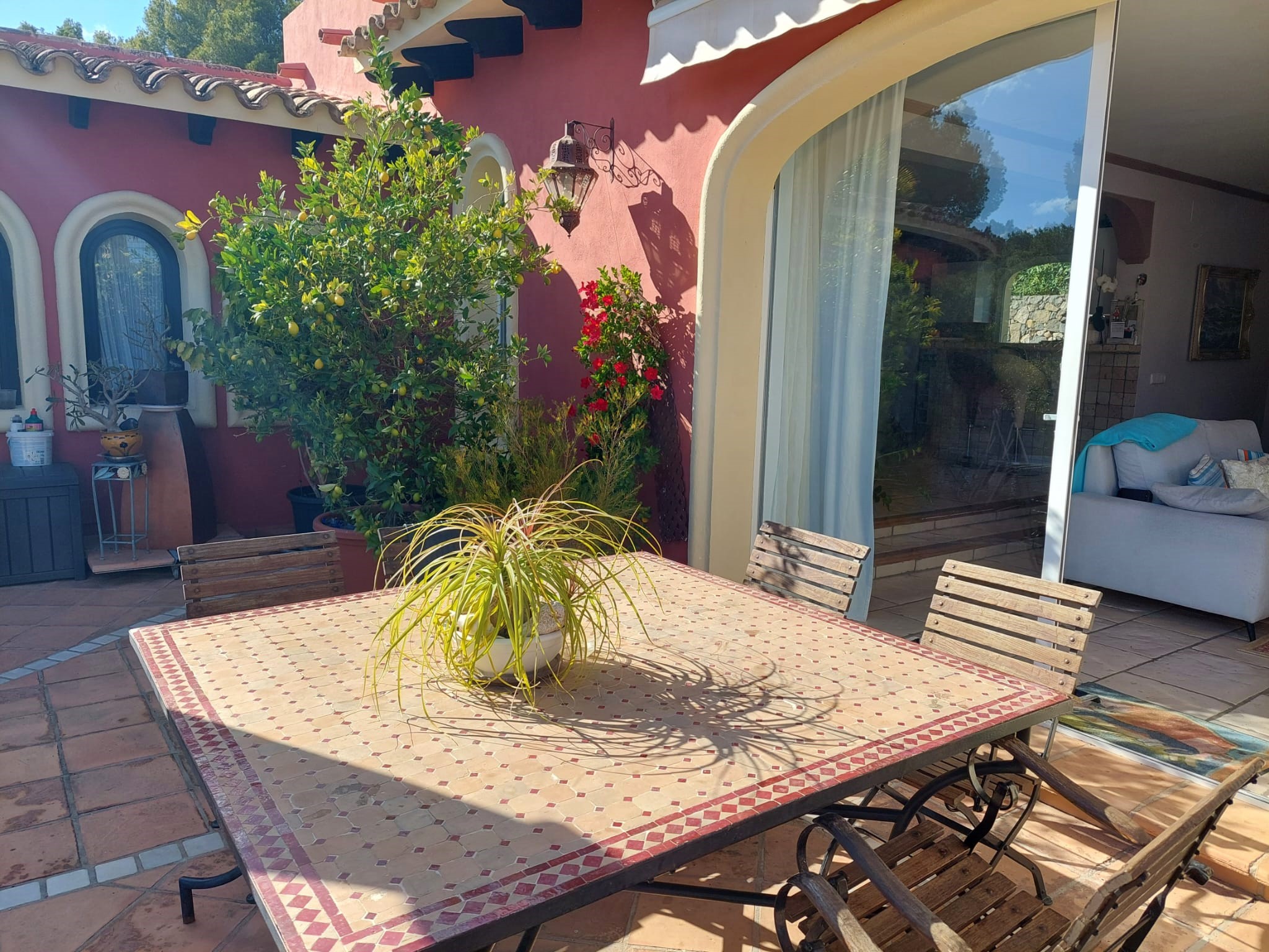 f894e431-7dd9-44fe-94ac-7d76643699ae